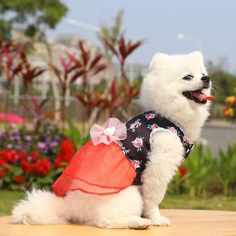 2024 Summer Dress for Dog Pets Clothes Chihuahua Wedding Dress Skirt Cloth Accessory Dog Pet Dress Supplies Hanbok Cat Costume
