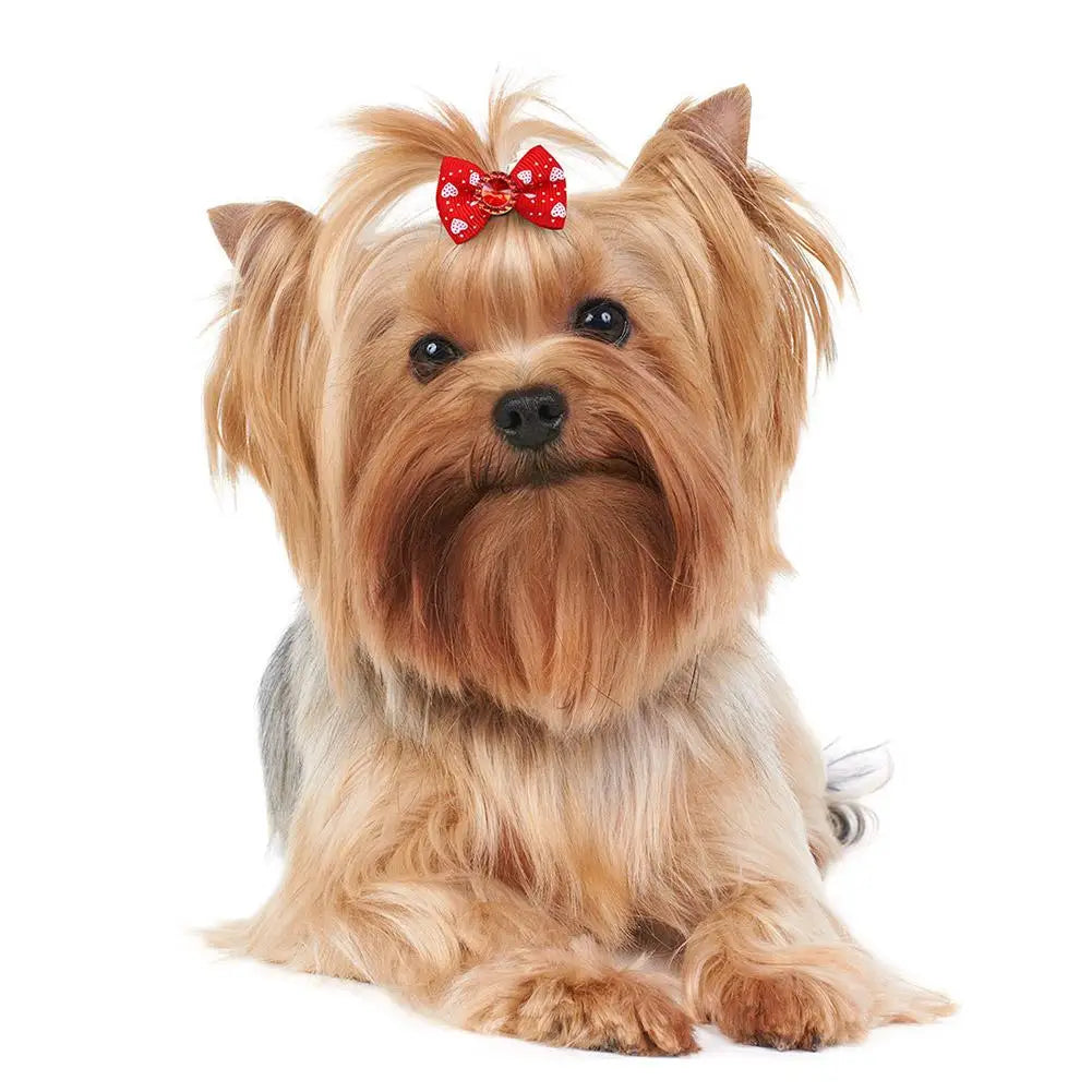 Pet Hair Accessories Bow Headdress Headband Cat Accessories Creative Princess Style Headdress Dress Up Dog Hair Clip Accessories