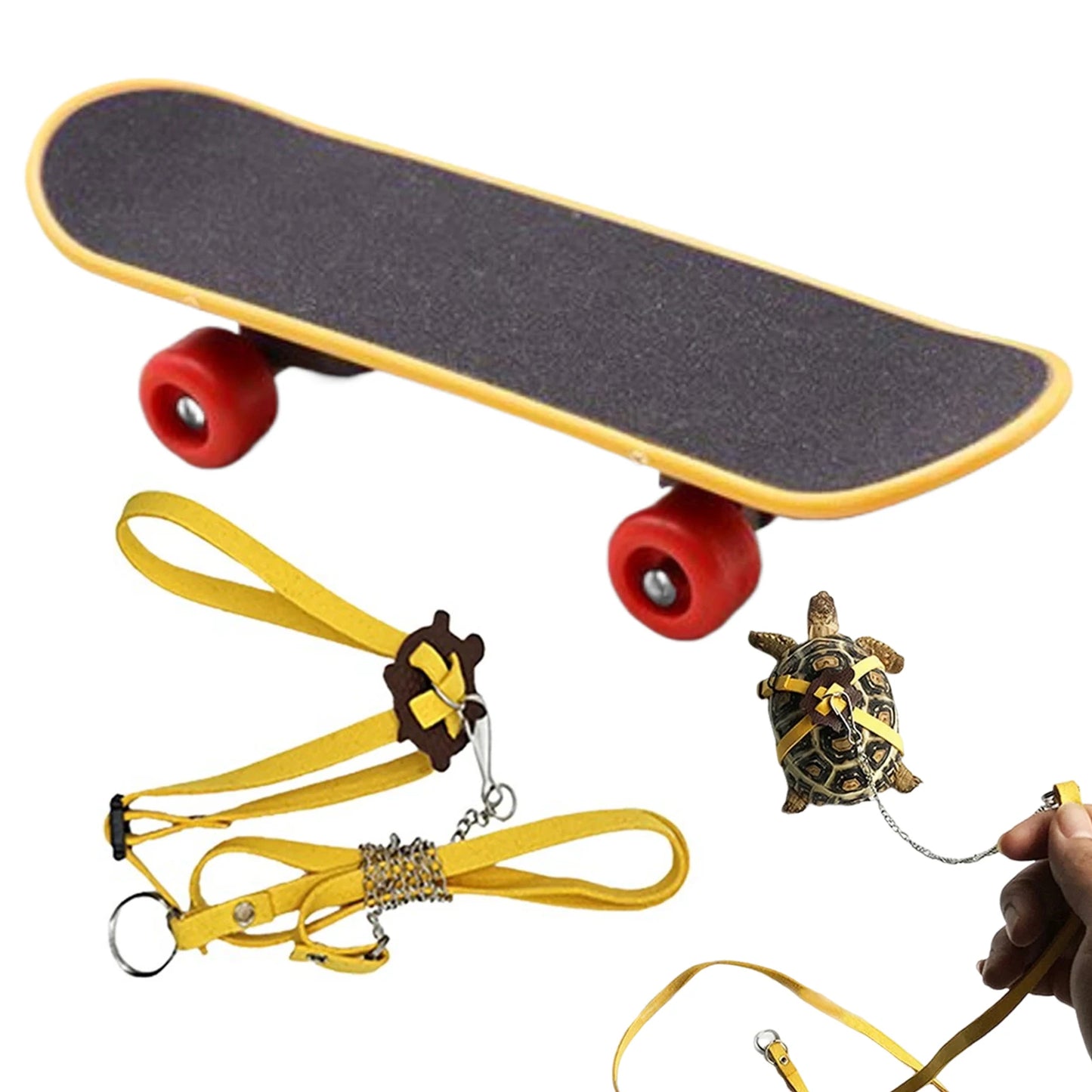 Turtle Feeding Ball Fruit Vegetable Holder with Training Skateboard 2 Treat Balls Turtle Enrichment Toys for Tortoise Turtle