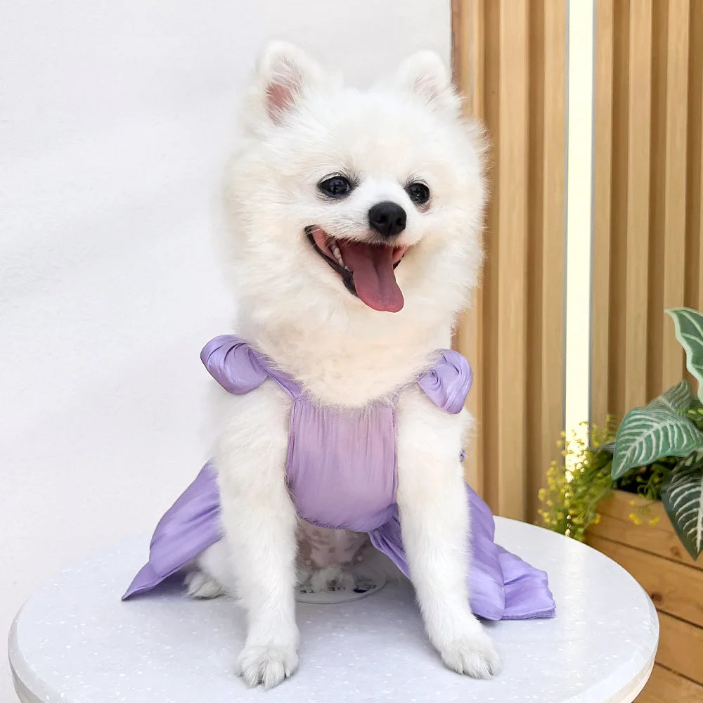 Summer Pet Dog Skirt Puppy Striped Butterfly Skirt Princess Baby Dog Wedding Midi Dress Cat Skirt Shih Tzu Dog Clothes for Party