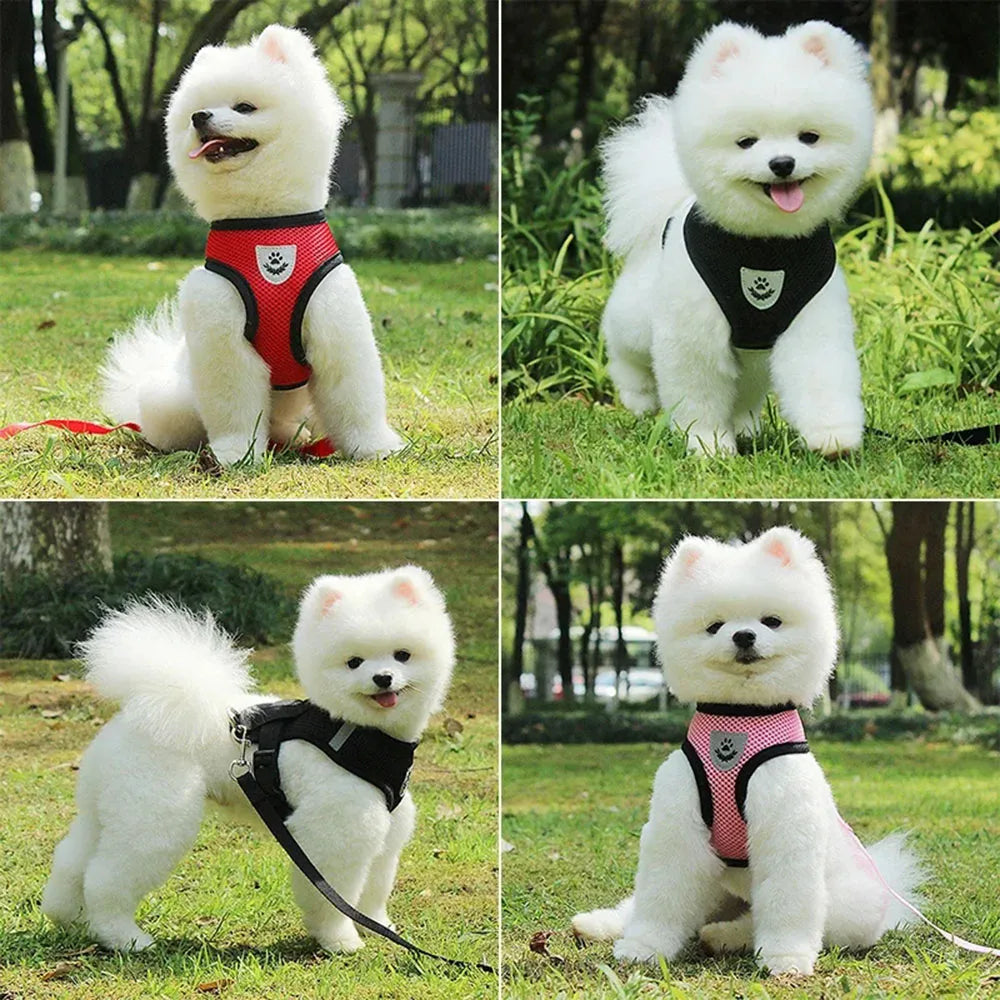 Cat Harness and Leash Escape Proof Adjustable Vest Harnesses for Cats Reflective Cat Harness Breathable Soft Kitty Puppy Harness
