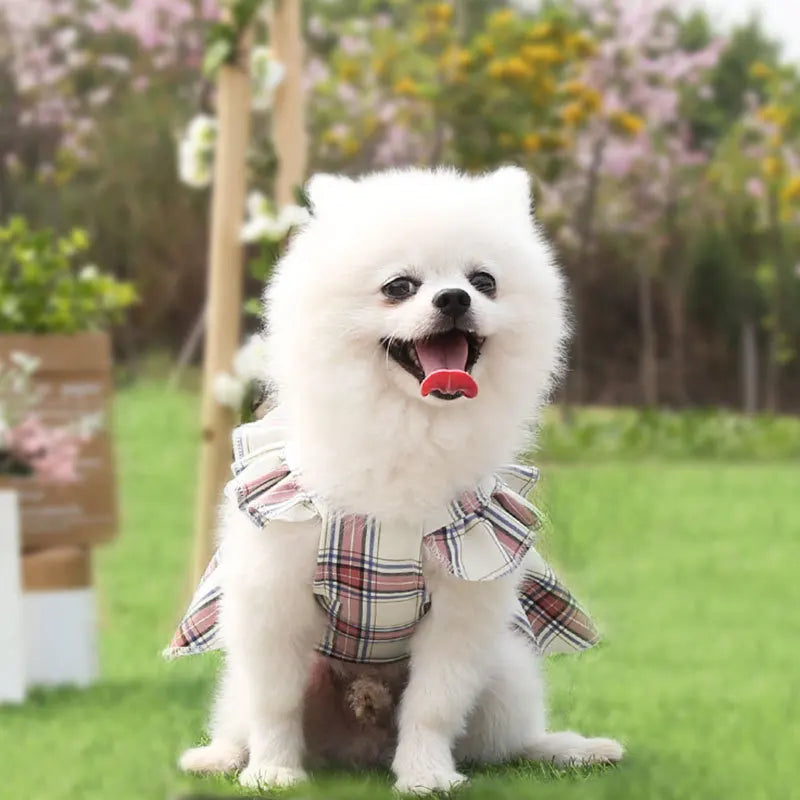 Plaid Dog Dress Cute Princess Dresses Cat Plaid Vest Small and Medium-sized Pet Clothing Classical Style Printed Pattern Clothes