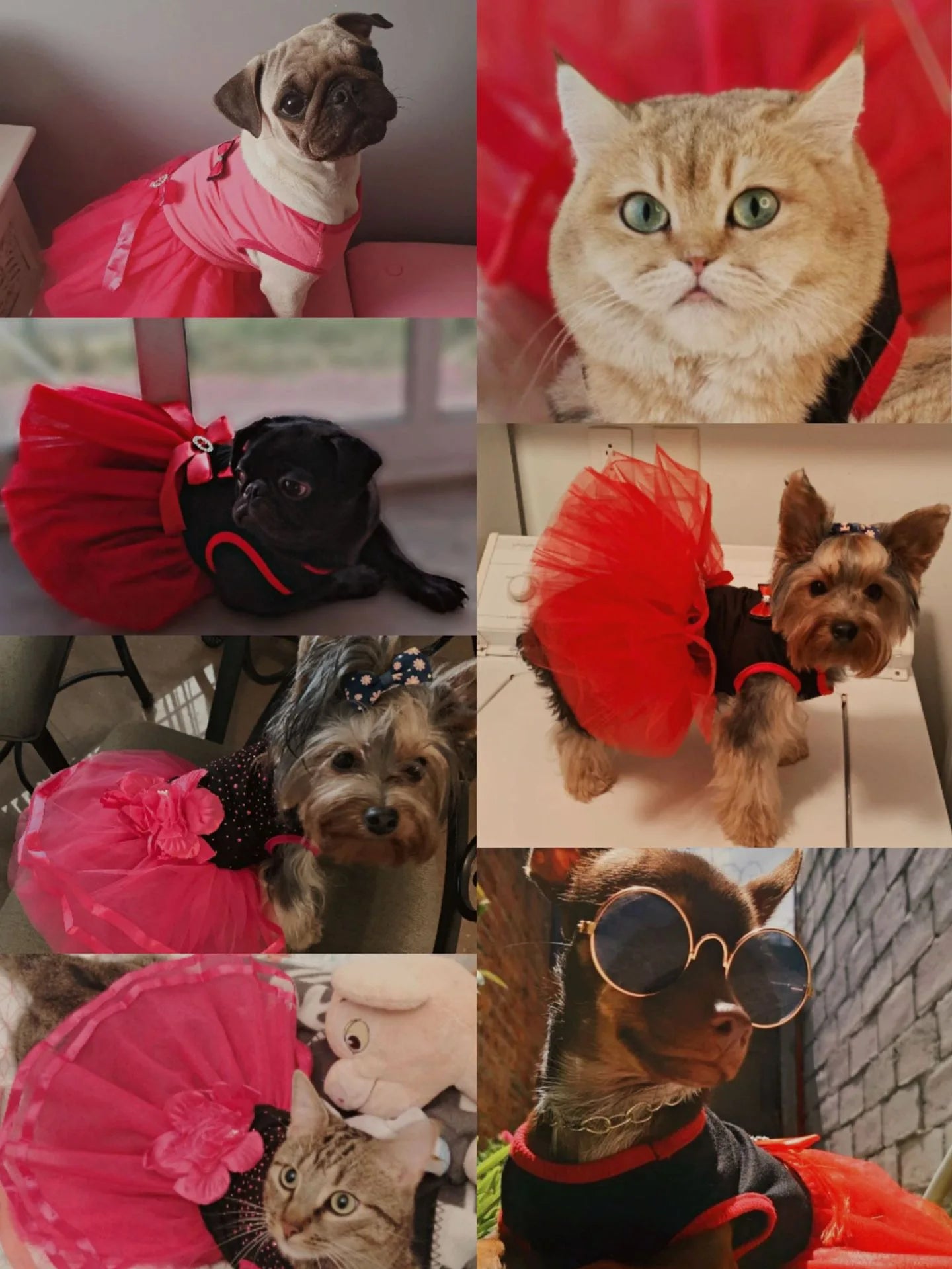 Pet Dog Cat Dress Summer Clothes Dot Dog Dress For Dogs Skirt Summer Princess Dog Wedding Dresses dog dresses for small dogs