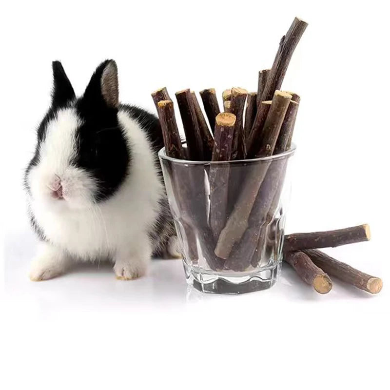 100/200/300/500g Hamster Rabbit Teeth Grinding Apple Tree Stick Minerals Molar Stone Toys for Chinchilla Hamster Pet accessories