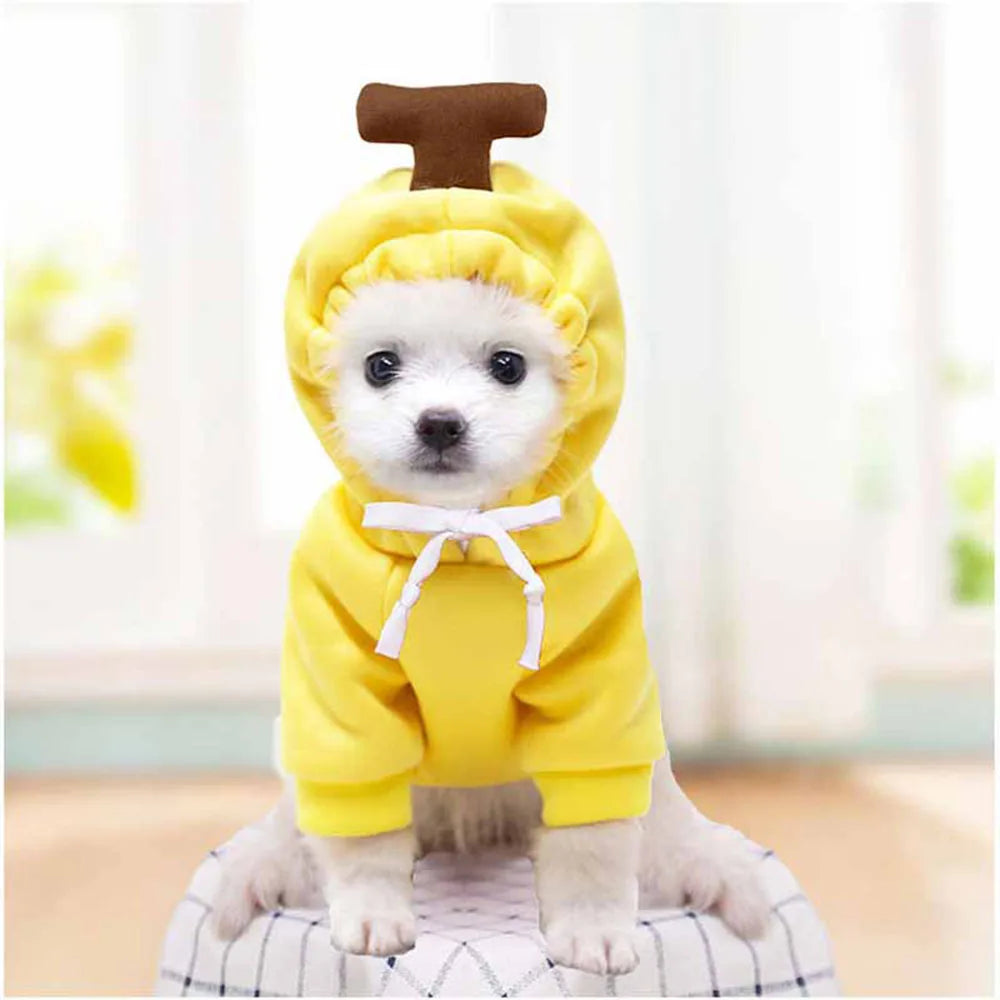 Cute Fruit Pet Costume Dog Clothes for Small Dogs Warm Fleece Doggy Hoodies Pet Dog Cat Clothing Puppy Sweater for Chihuahua Pug