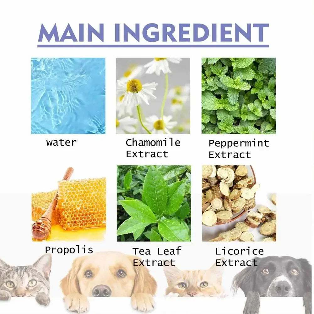 50ml Pet Oral Cleanse Spray Dogs Cats Teeth Clean Deodorant Prevent Calculus Remove Kitten Bad Breath Mouth Fresh Pet Supplies