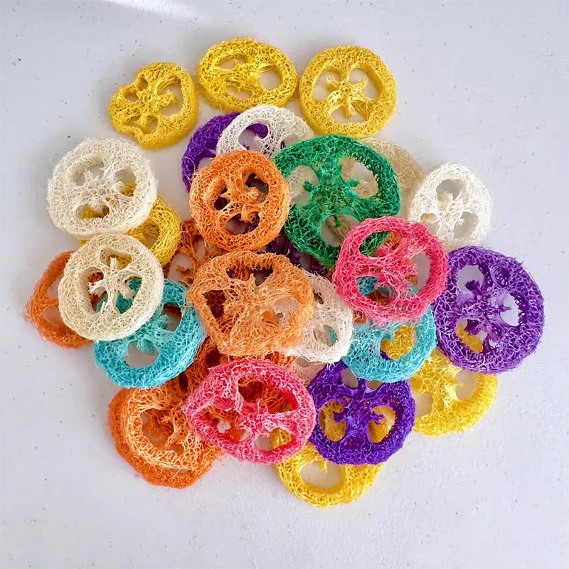 10/20Pcs Natural Loofah Slice Tooth Grinding Cleaning Chew Toy Small Pets Toys For Hamster Rabbit Grinding Products High Fiber
