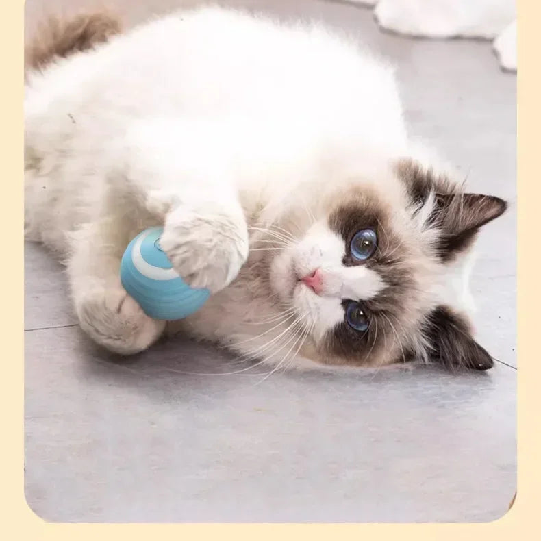 Funny Cat Ball Pet Toy Ball Gravity Rolling Ball Cat Self-Happiness Ball Bite-resistant and Boredom Relieving Automatic Rolling