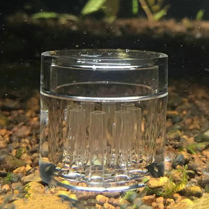 High Transparent Aquarium Fish Tank Acrylic Decoration Clear Snail Trap Catcher Plants Planarian Pest Catch Box Leech 8 Holes