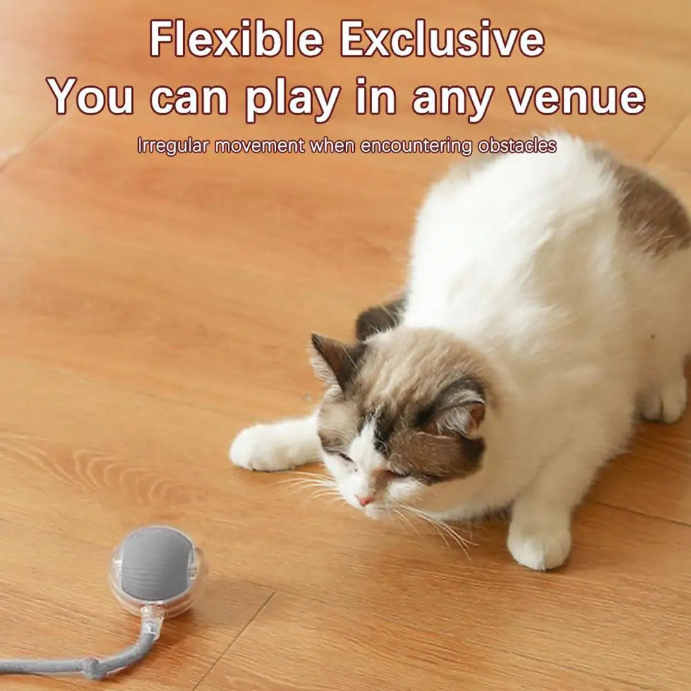 360° Automatic Self Moving Dog Cat Toys USB Rechargeable Dog Electric Toys Smart Rolling Ball Interactive Automatic J3L4
