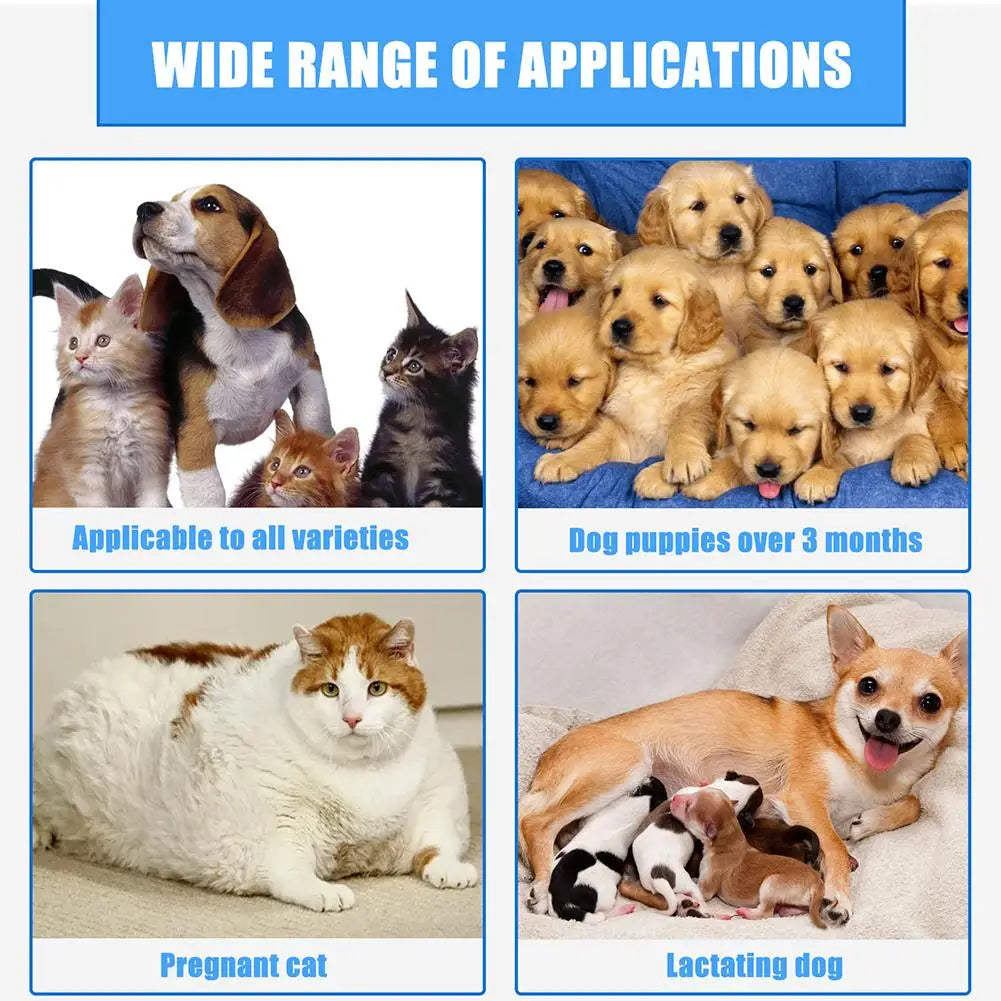 Pet Wound Spray Dog Cat Skin Scratch Wound Treatment Repair Liquid Wound Spray Blocking O9R6