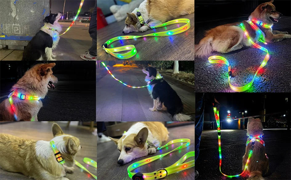 Led Light Up Dog Leash Walking Safety Glow in The Dark USB Rechargeable Adjustable for Large Medium Small Pet Lighted Dog Collar