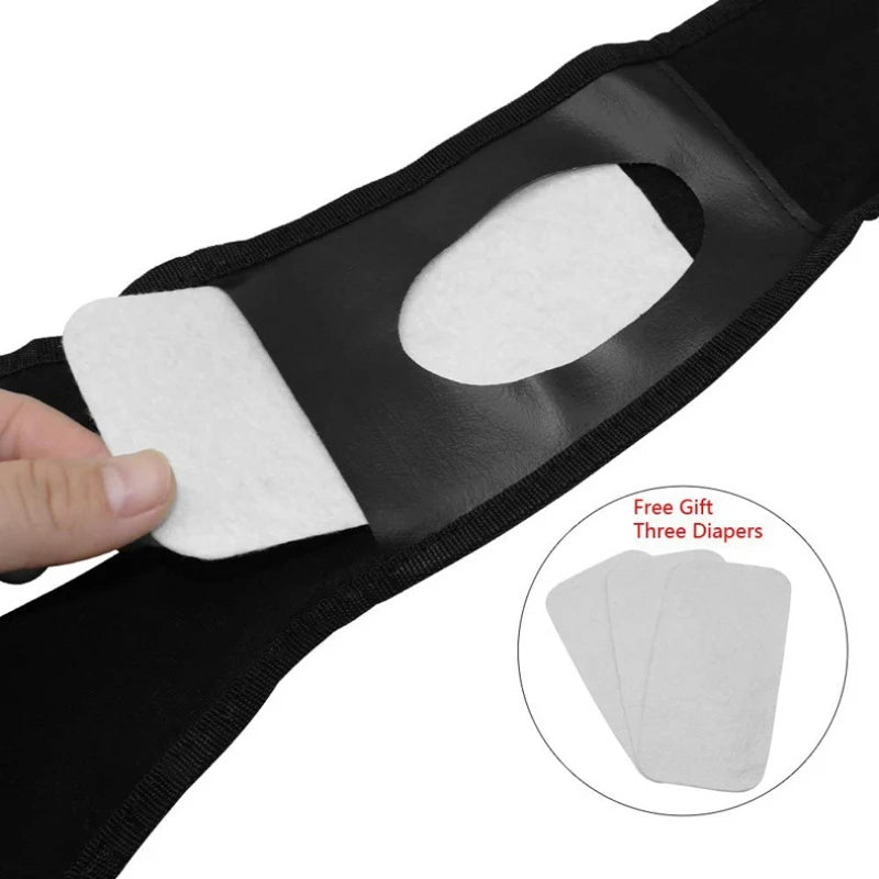 Female Dog Panties Adjustable Pet in Heat Menstrual Sanitary Physiological Pants Reusable Diapers for Small Medium Large Dogs