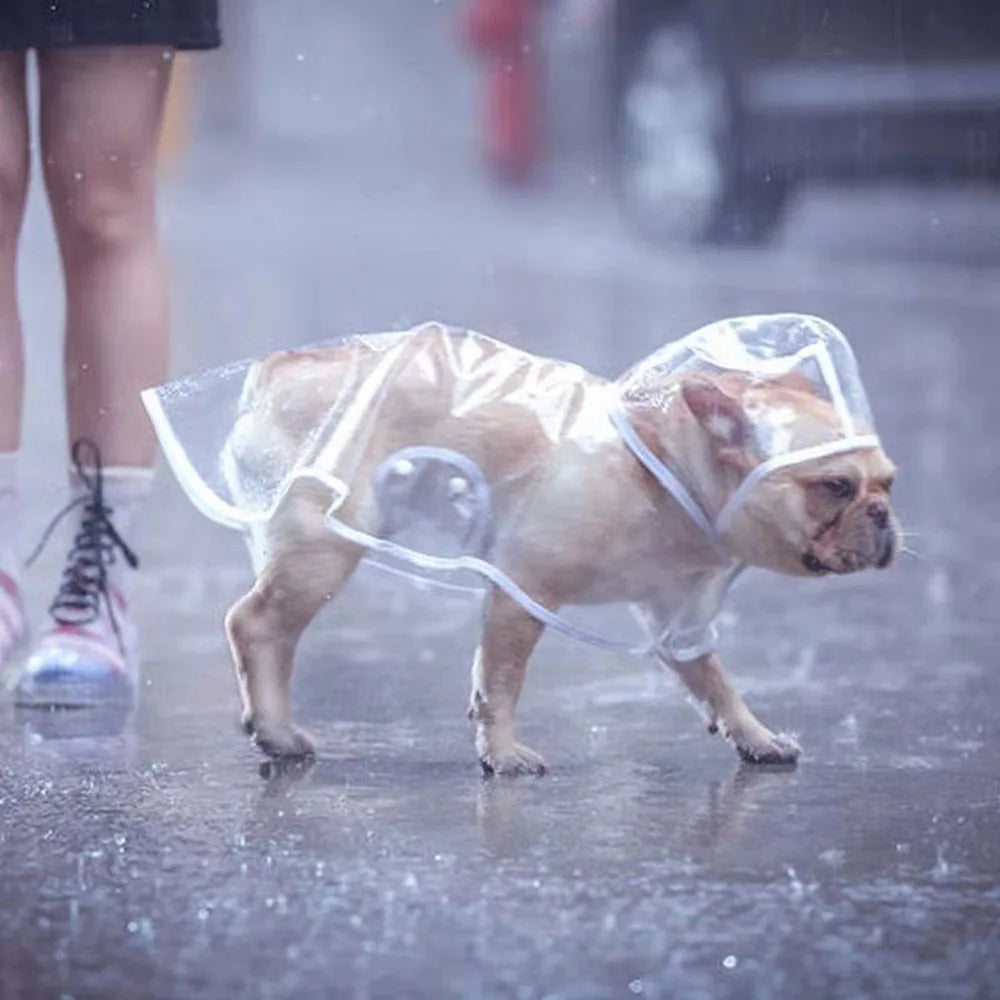 Waterproof Transparent Raincoat for Dogs Pet Dog Raincoat Spring Summer Rain Coats Puppy Outdoor Waterproof Clothes Pet Supplies