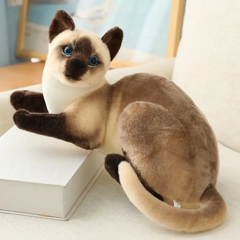 Stuffed Siame Cats Plush Toy 20/25cm Simulation American Shorthair Cute Cat Pet Toys Lifelike Home Decor Birthday Gift