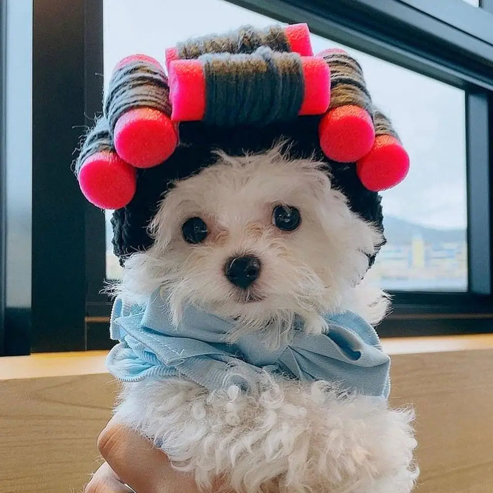 Cute Creative Pet Headdress Halloween Atmosphere Sense Wig Funny Pet Hat Pet Fashion Fun Curly Hair Photo Styling Headband Pet T
