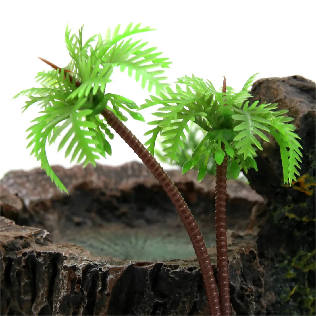 UXCELL Reptile Pet Bowls Feeding Tools Worm Dish Cereus Food Feeder Water Dish Resin Bowl Frog Gecko Spiders Turtles Reptile