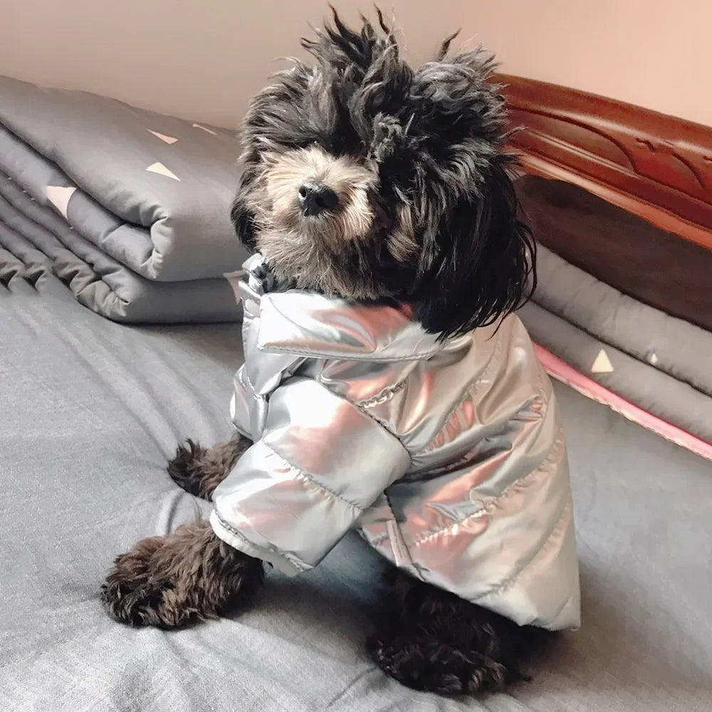 Puppy Pet Dog Clothes Outdoor Windproof Waterproof Leather Dog Coat Winter Warm Padded Jacket for Dogs and Cats in Cold Weather