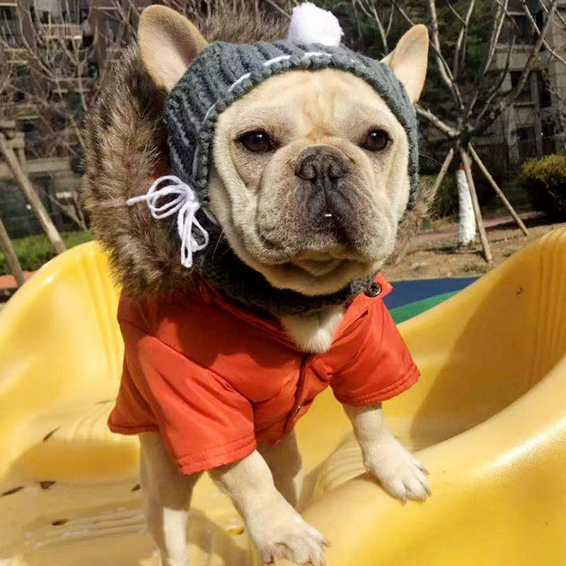 Solid Wool Knitting Pet Dog Hat New Year Protective Head Wear French Bulldog Kitten Accessories Versatile Outdoor Pet York Scarf