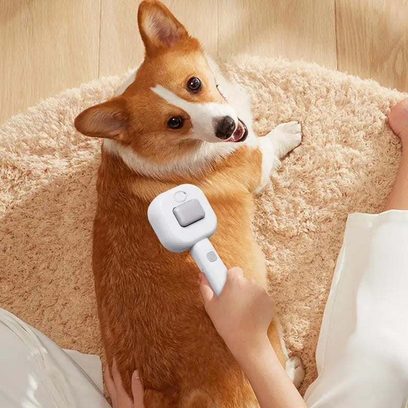Steamy Pet Brush Rechargeable Cat Grooming Brushes Pet Water Combs Cat Hair Remover Cat Cleaning Massage Brush for Puppy  Kitten