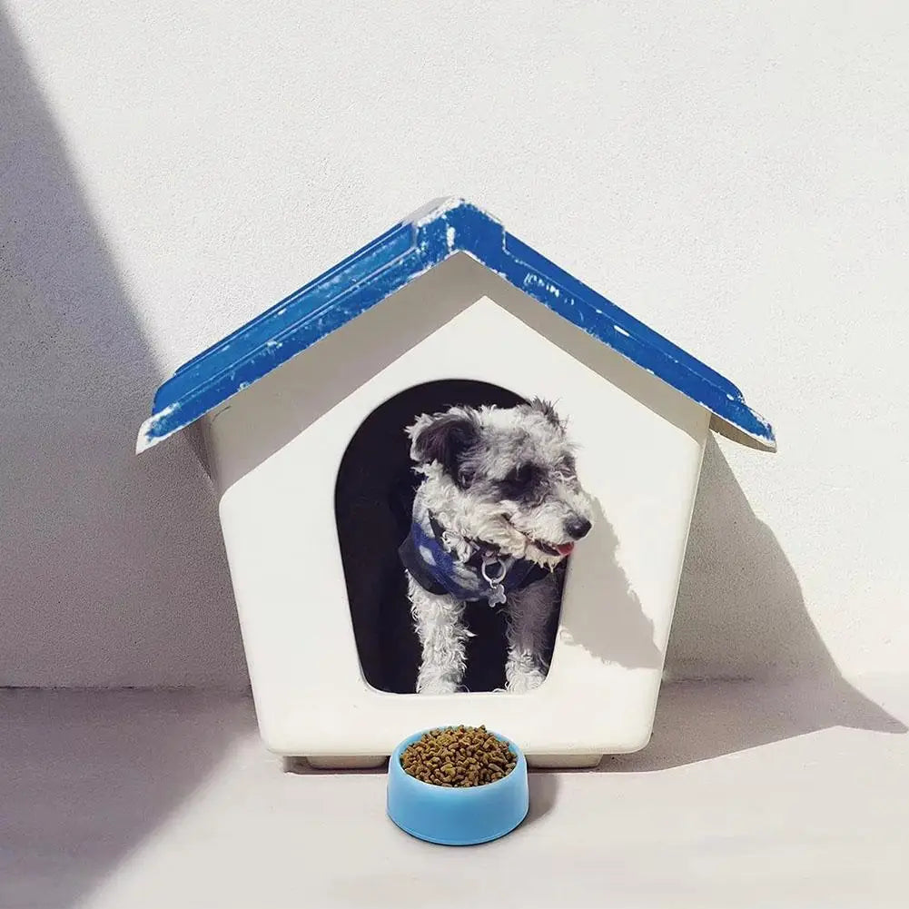 Candy Color Plastic Pet Round Bowl Cat And Dog Food Bowl Pet Small Cat And Dog Tableware Wholesale Easy To Clean Colorful