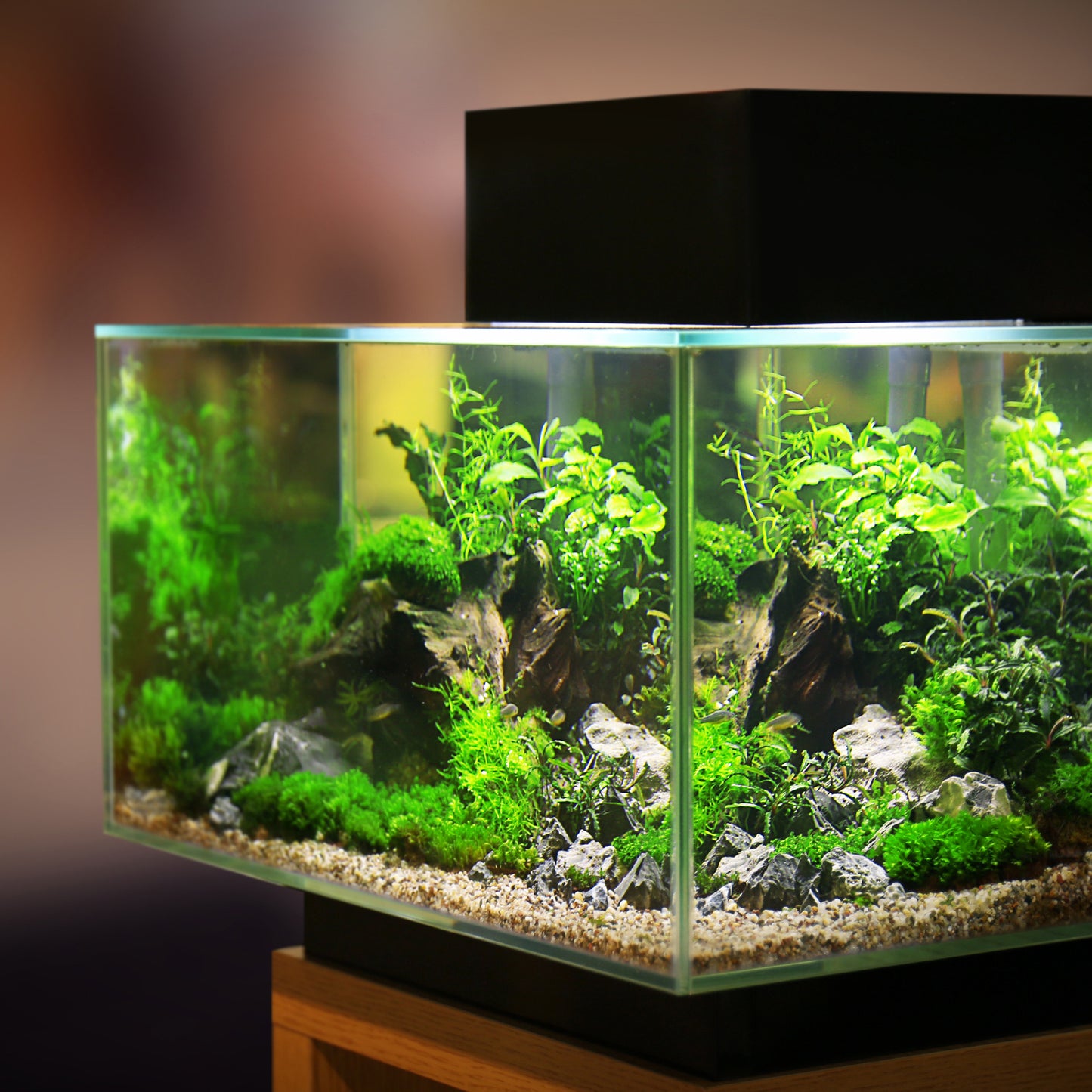 UXCELL 420g Aquarium Tools Filter Balls Media Ceramic Rings Biological Ball With Free Bag For Fish Tank Set Pond Accessorie