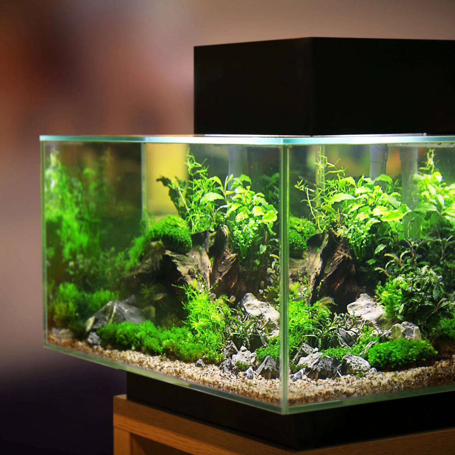 UXCELL 420g Aquarium Tools Filter Balls Media Ceramic Rings Biological Ball With Free Bag For Fish Tank Set Pond Accessorie