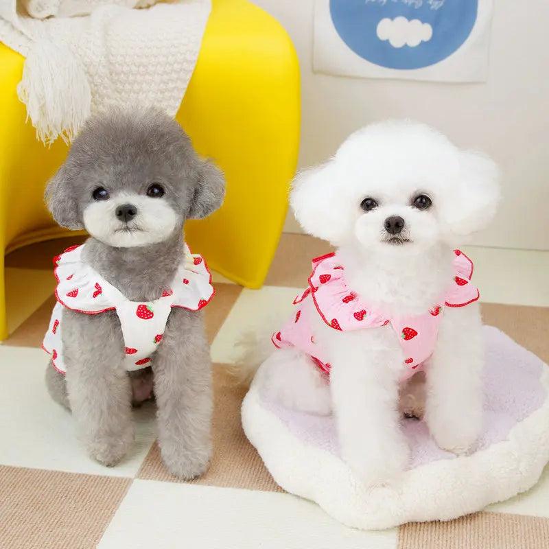 Summer Dog Strawberry Skirt Luxury Vest Suspender Dress Cooling Shirt for Bichon Chihuahua - Dog Outfit Summer Clothing