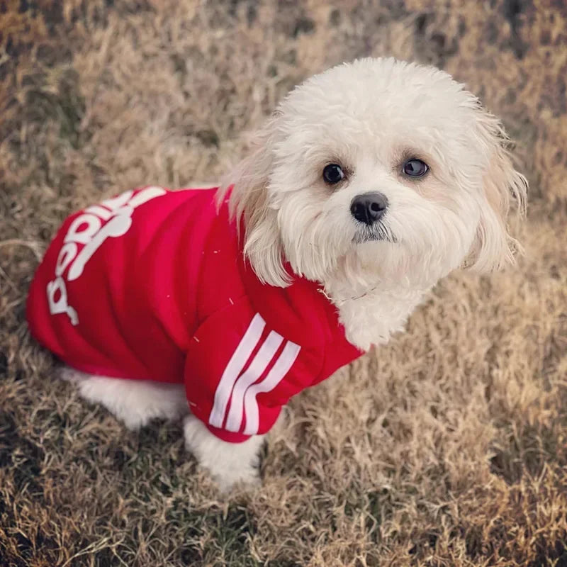 Adidog Pet Sweatshirt Dog Hoodies for Small Medium Dogs, Autumn Winter Fleece Lined Dog Clothes Puppy Chihuahua Coat Clothing