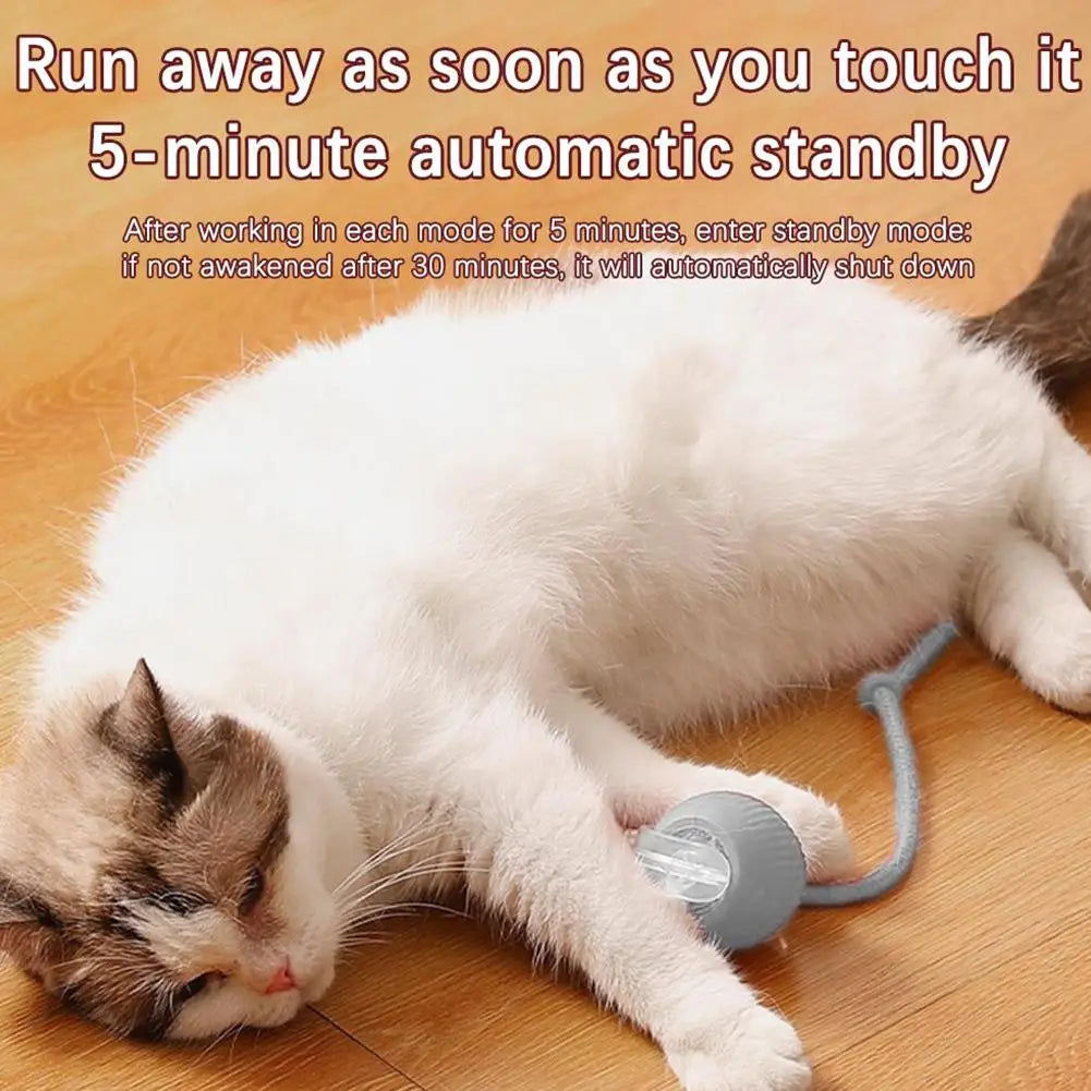 360° Automatic Self Moving Dog Cat Toys USB Rechargeable Dog Electric Toys Smart Rolling Ball Interactive Automatic J3L4
