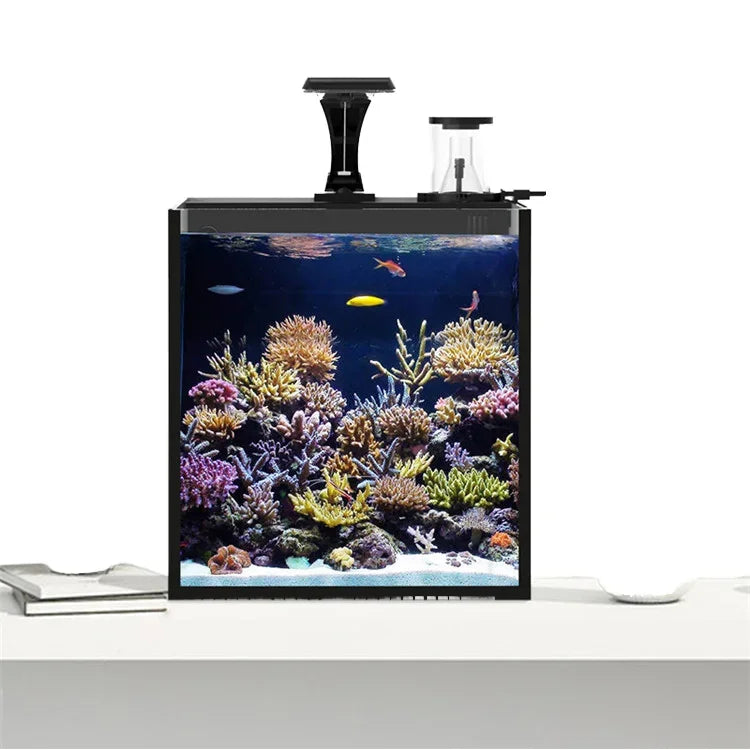 Table Curvedcurved Saltwater Marine Fish Tank Aquarium