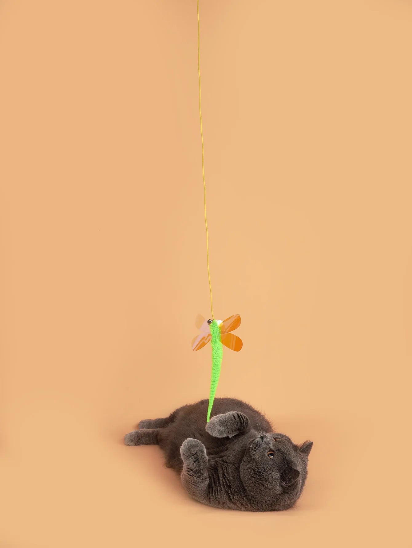 Cat Toy Cat Teaser Stick Three Color Dragonfly Hanging With Adjustable And Adjustable Self Cat Teaser Toy Swing Cat Teaser Stick
