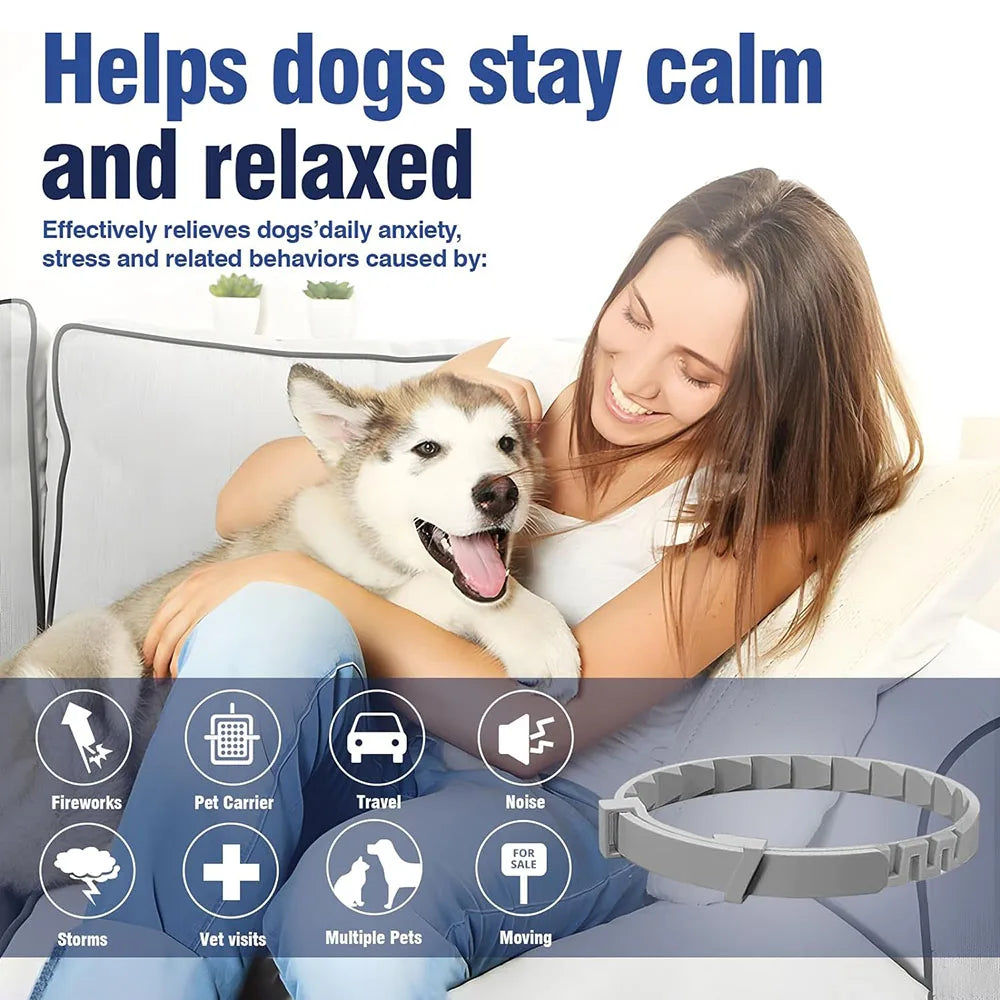 38/70cm Dog Calming Collar Pet Cat Anxiety Reducing Pheromone Collar for Dogs Releases Pheromones for 60Days Helps Calm for Dogs