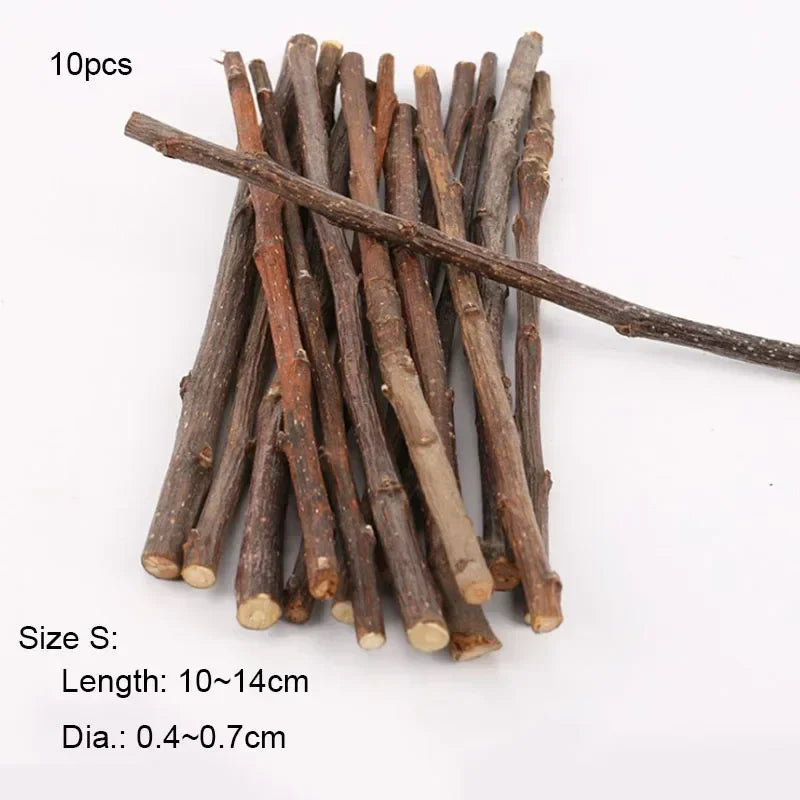 5pcs 10pcs 40pcs Chew Stick Apple Tree Branch Hamster Squirrel Natural Toys Parrots Rabbits Grinding Stick