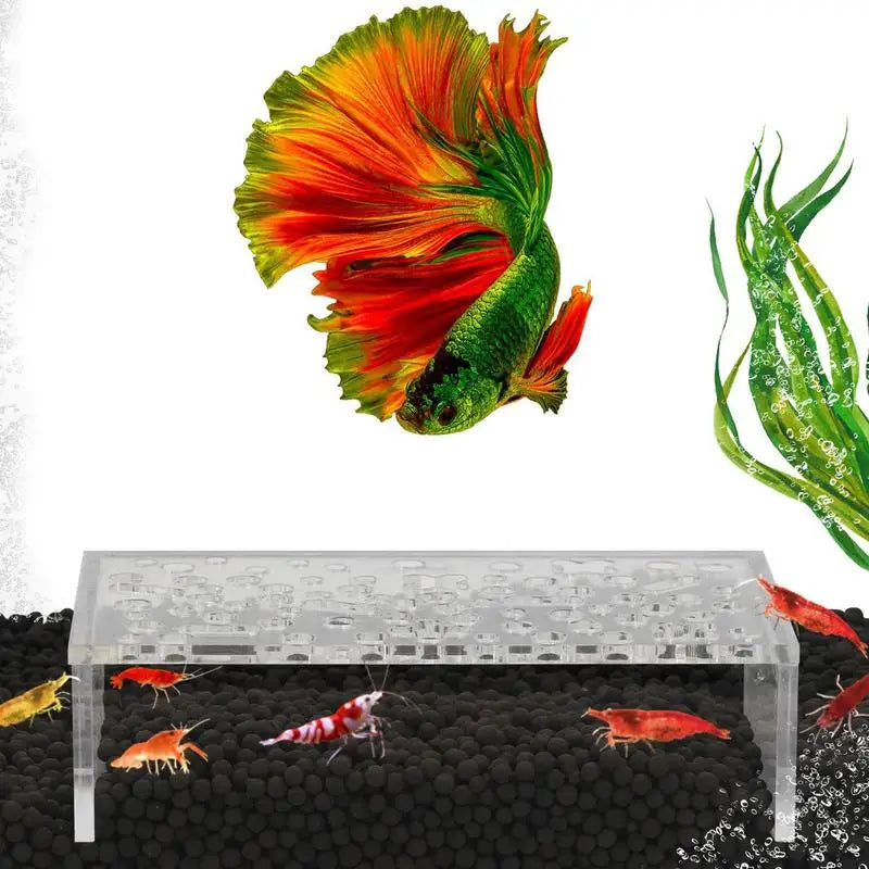 Shrimp Breeding Protector Acrylic Shrimp Breeding Cave Shrimp Tunnel Transparent Cave Shrimp Tank Decor Aquarium Tunnels