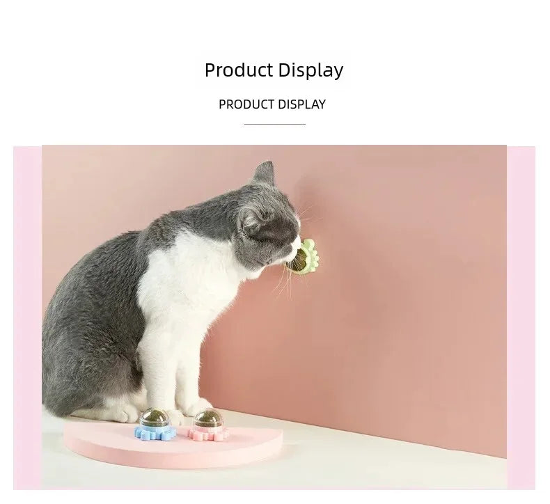 1PC Natural Cats Candy Snack Ball Rotatable Toy Catnip Pure Cat Molar Toothpaste Edible Bolus Teeth Cleaning Bite-resistant Toys