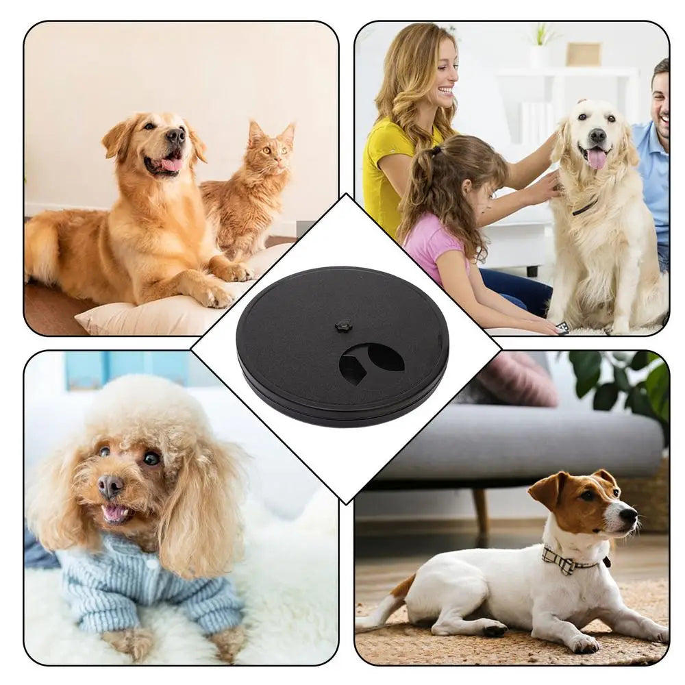 Pet Nail Scratcher Cat Nails Scratch Pad For Dog Treat Effective Dog Nail File Toy Feeder Nonirritating Dog Paws Scratch Board