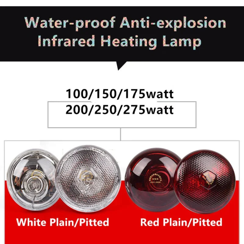 100-275 Watt 220v Waterproof Anti-explosion Livestock Chicks Piglet Heating Lamp Infrared Heat Light Bulb For Poultry Pig House