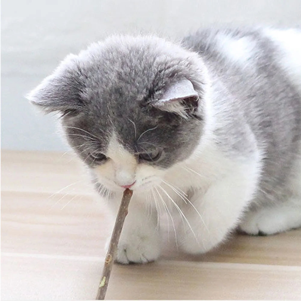 Cat Toys Catnip Chew Toys Funny Cigarette Design Cat Molar Toothpaste Stick Natural Actinidia Silvervine Pet Cat Cleaning Teeth