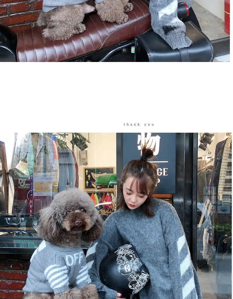 The New Pet Clothes Cat Sweater Dog Sweater Korean Version Spring and Autumn Parent-child Wear Six Sizes