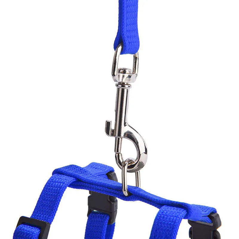 Adjustable Pet Cat Collar For Cats Cozy Nylon Rabbit Kitten Kedi Harness Leash Set Small Puppy Dog Cat Accessories Pet Products