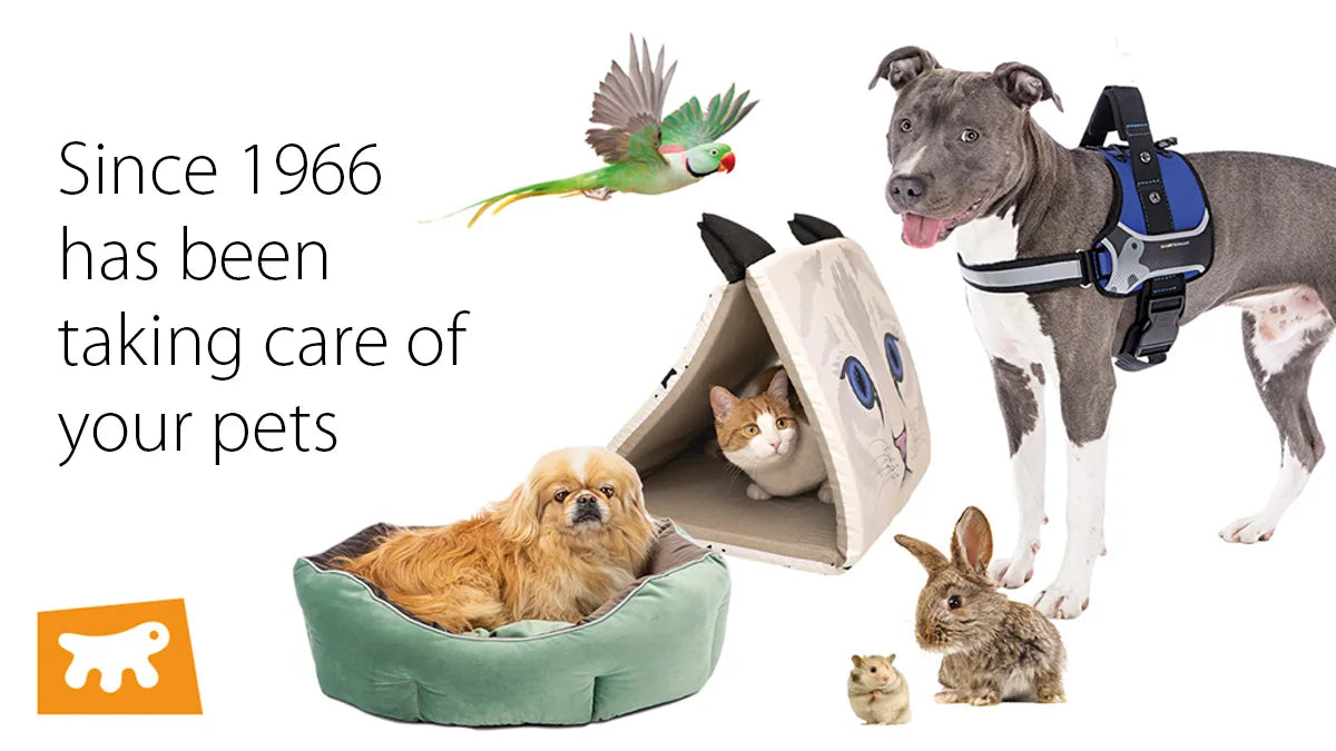 Rabbit Cage CASITA 120, Guinea Pigs Small Animals, Rounded Openable Roof, with Accessories