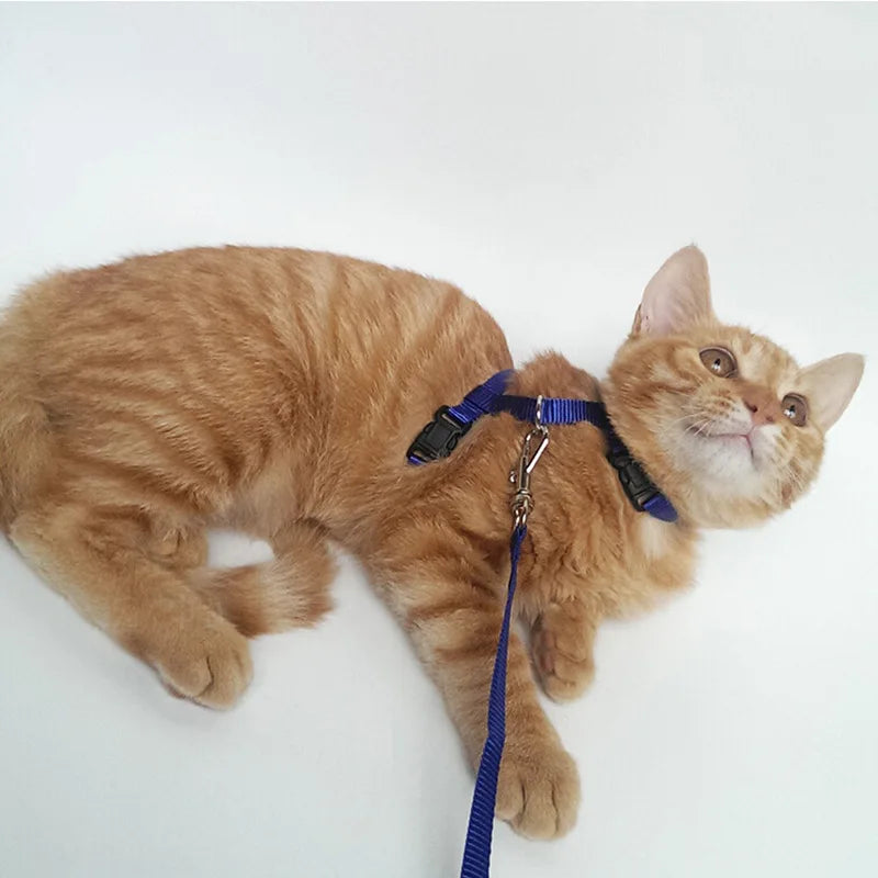 Adjustable Pet Cat Collar For Cats Cozy Nylon Rabbit Kitten Kedi Harness Leash Set Small Puppy Dog Cat Accessories Pet Products