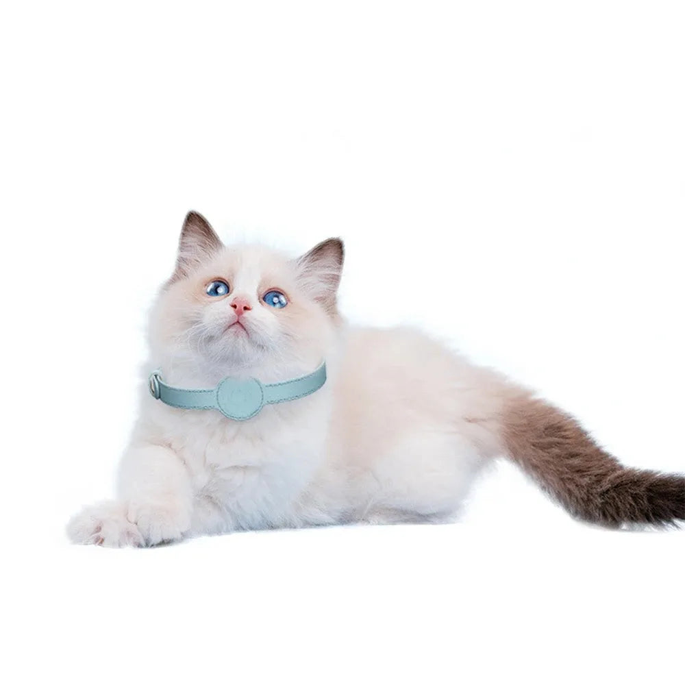 Pet Supplies Leash for Dog Collar Harness Small Dog Straps for Dogs Cat Collars Pets Dogs Accessories Things Puppy Big Training