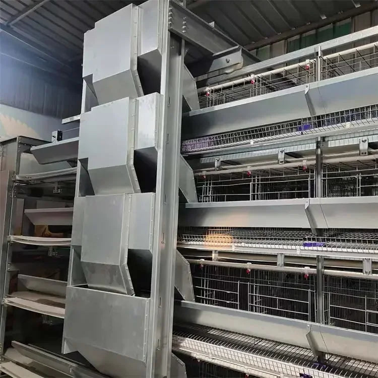 H Type Layer Chicken Cage,Fully Automated Battery Cage Systems, Automated Egg Picking Systems, Customized Purchase on Demand