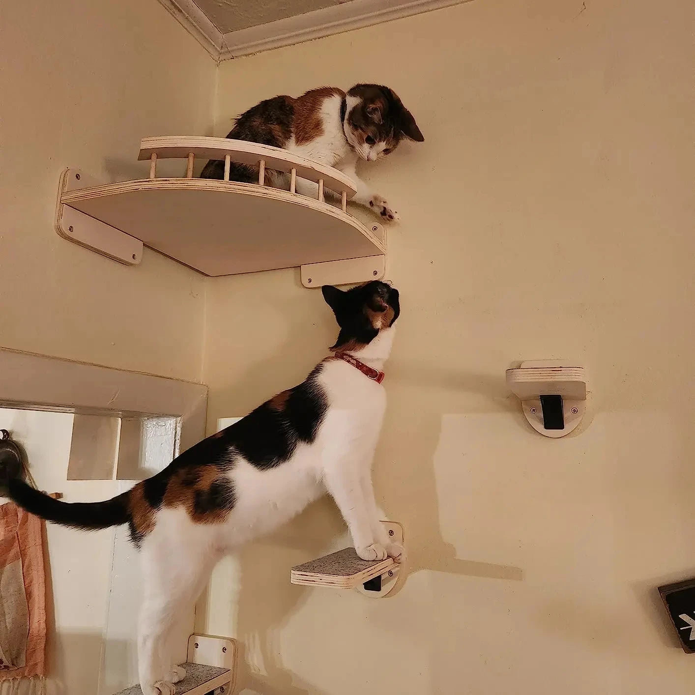 Cat Climbing Shelves Wall Mounted Cat Bridge And Cat House Wooden Pet Shelves Tree Tower For Sleeping Climbing Cat Perch Tree