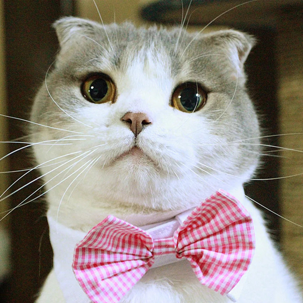 Pet Dog Cat Adjustable Bow Tie Collar Puppy Necktie Bowknot Bowtie Pet Cat Holiday Wedding Decoration Accessories for Small Dogs