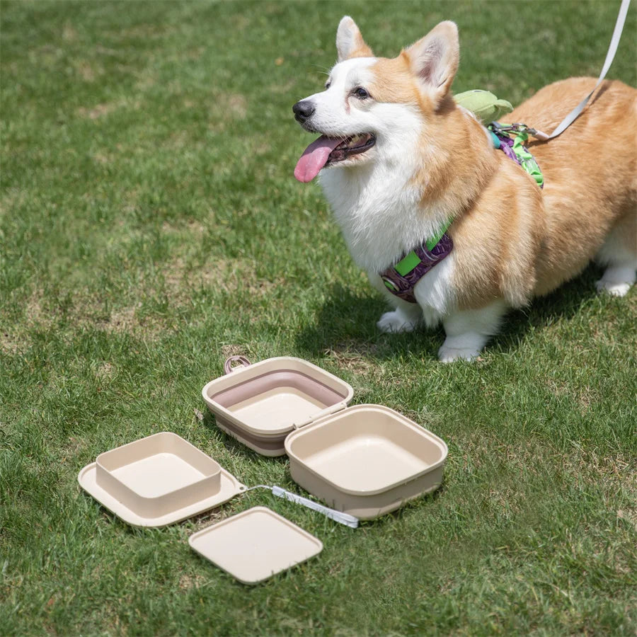 Thickened Folding Pet Bowls Outdoor Pet Double Bowls Tableware Travel Dog Feeder Bowls Pet Supplies Portable Dog Bowls