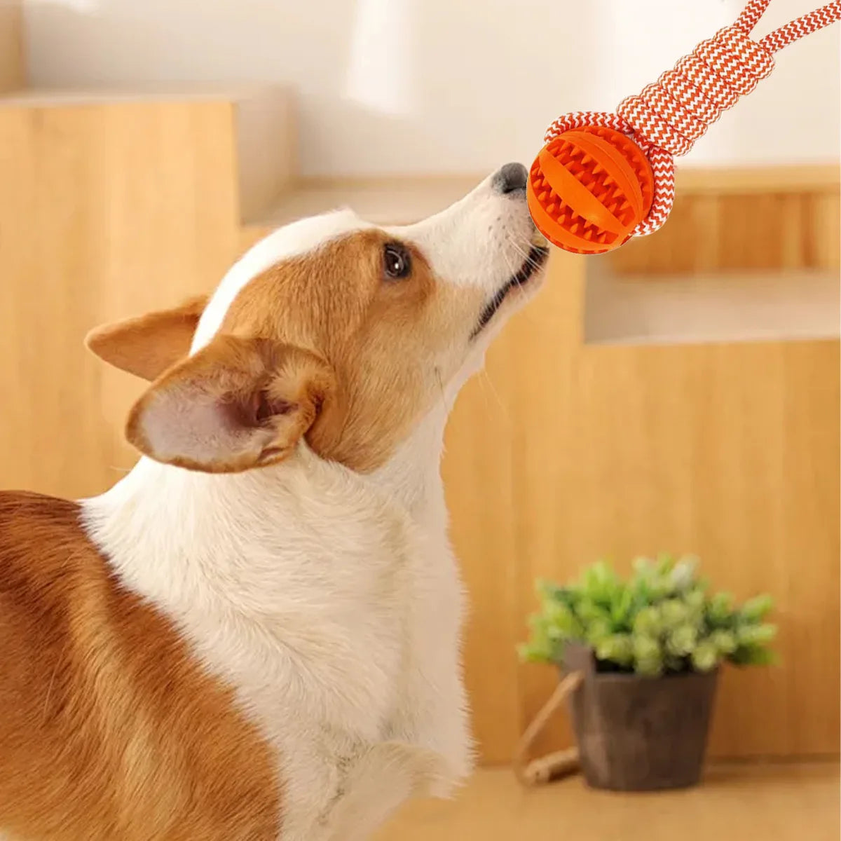 Durable Dog Rope Toys Ball on Rope, Tug of War Dog Toy Interactive Exercise Reward Toy for Medium Small Dogs,Rubber Dog Chew Toy