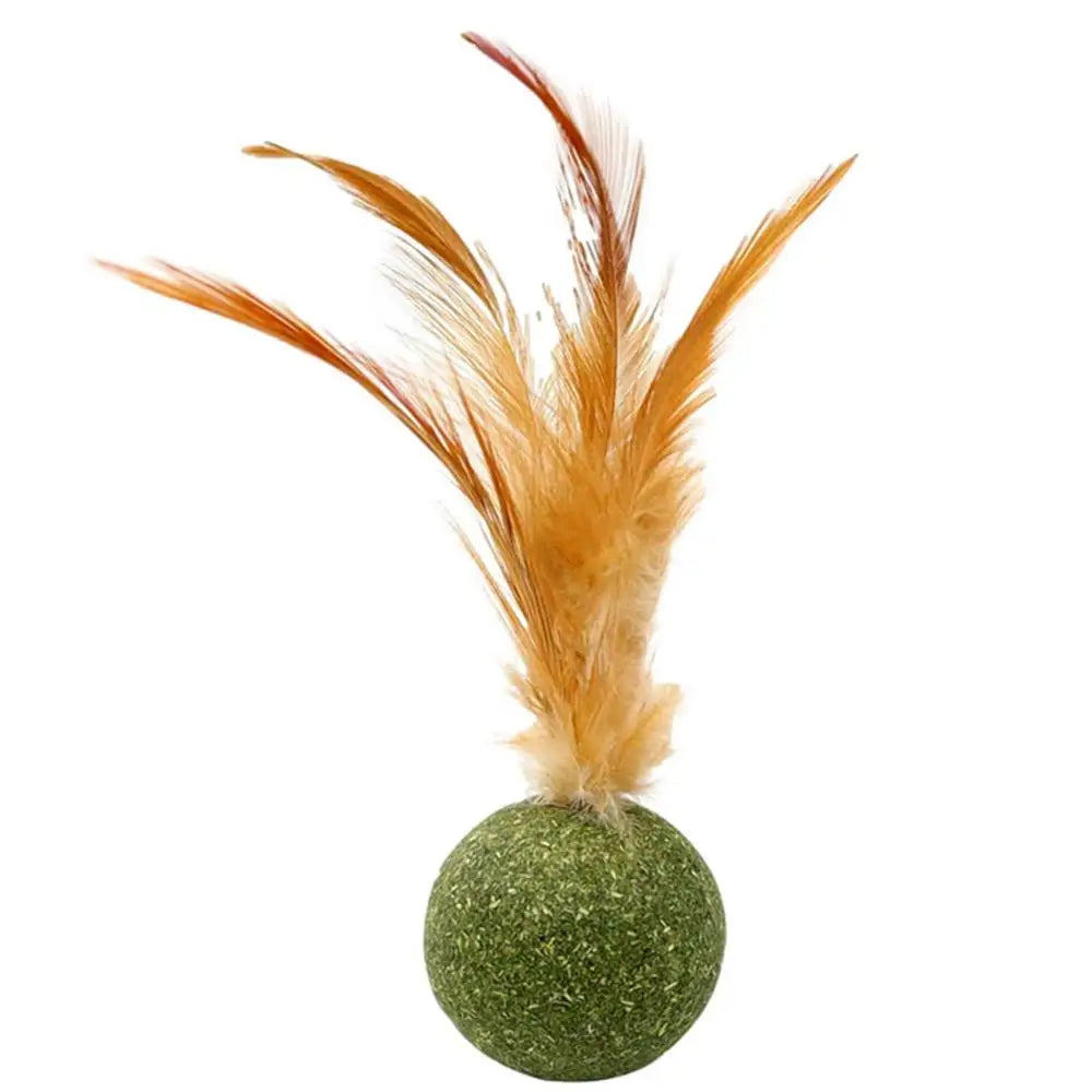 1pcs Catnip Feather Ball Interactive Natural Lollipop for Cat Kitten Toys, Feathers Design Teeth Cleaning Playing Toys